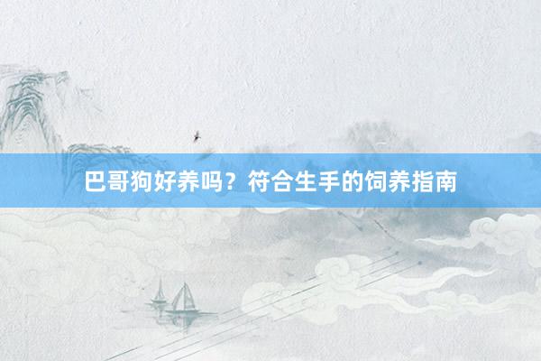 巴哥狗好养吗？符合生手的饲养指南