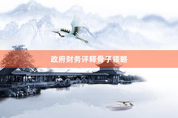 政府财务评释骨子领略